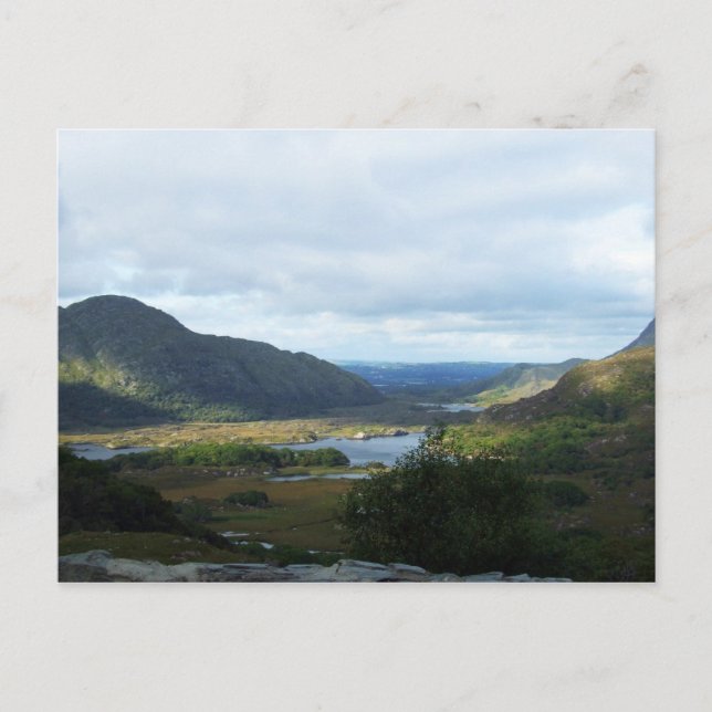 Ladys View, Killarney, Kerry, Irland Postkarten (Vorderseite)