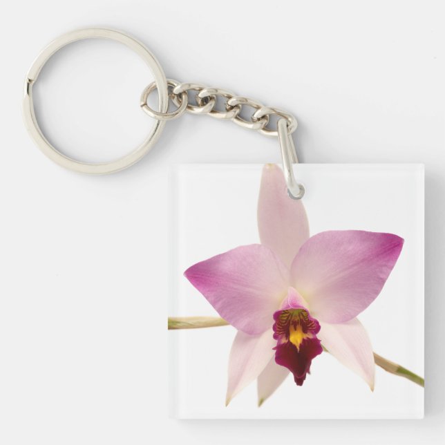 Laelia Ancep Schlüsselanhänger (Vorderseite)