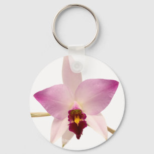 Laelia Ancep Schlüsselanhänger