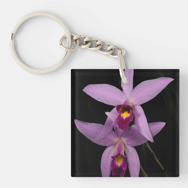 Laelia Anceps Schlüsselanhänger (Vorderseite)