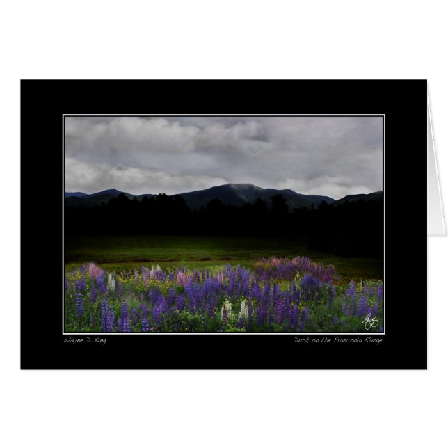 Lafayette Lupine Mindscape (Vorderseite (Horizontal))