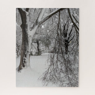 Lafayette Square, Washington, DC, Winterbäume Puzzle