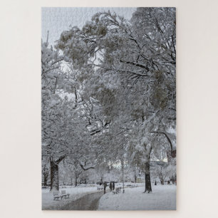 Lafayette Square, Washington, DC, Winterweg Puzzle