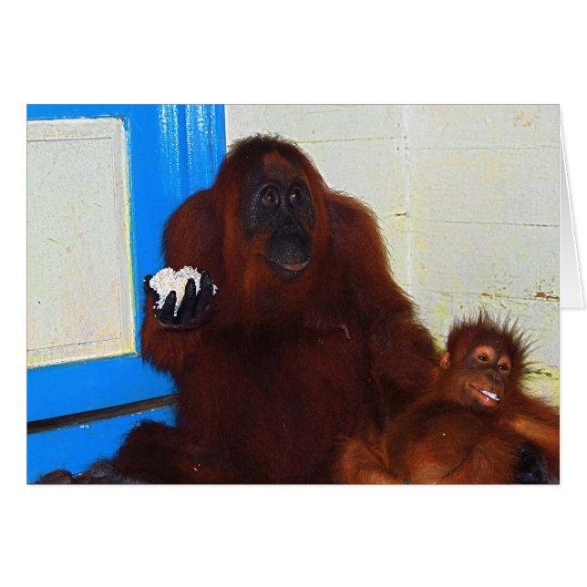 Lager Leakey Orang-Utan Mutter und Baby (Vorderseite (Horizontal))