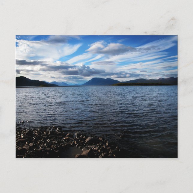 Lago Aleknagik Postcard Postkarte (Vorderseite)