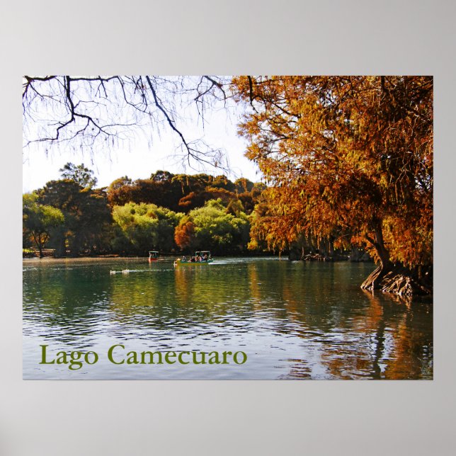 Lago Camecuaro Poster (Vorne)