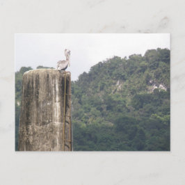 Lago dos Bocas Utuado Puerto Rico Postkarte