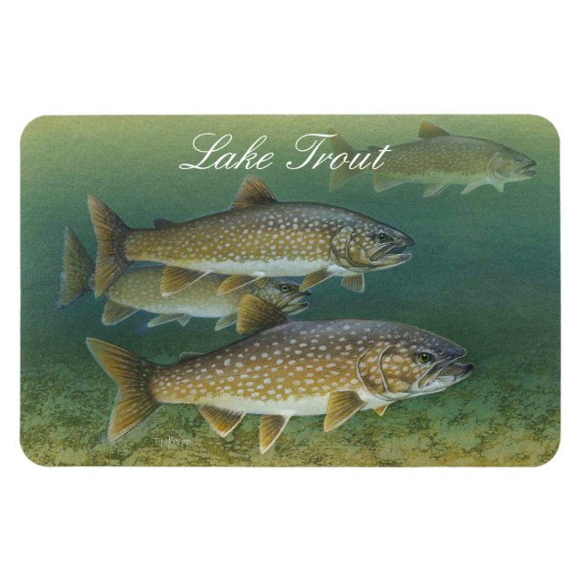 Lago Trout Painting Magnet (Horizontal)