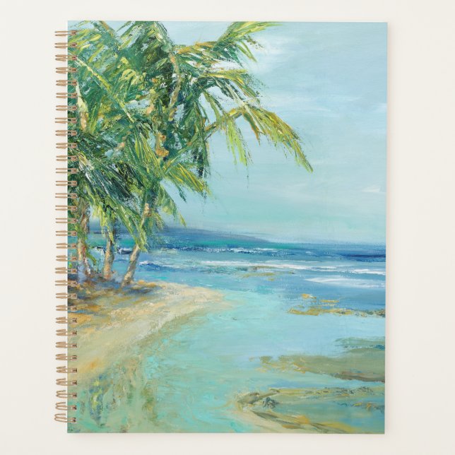 Lagoon Planer (Vorderseite)