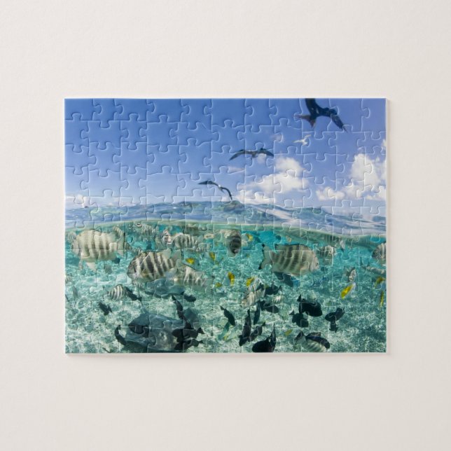 Lagoon Safari mit Stingrochen Puzzle (Horizontal)