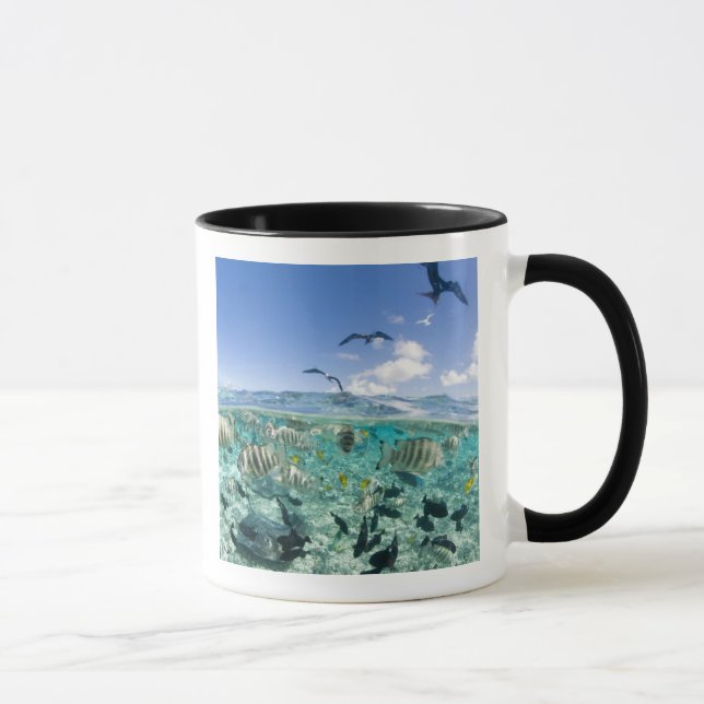 Lagoon Safari mit Stingrochen Tasse (Rechts)