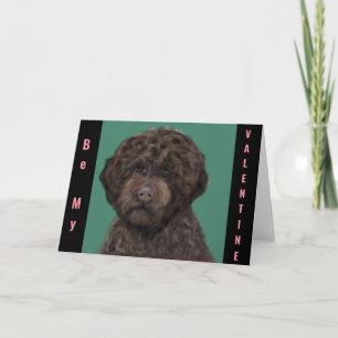 Lagotti Romagnolo Karte