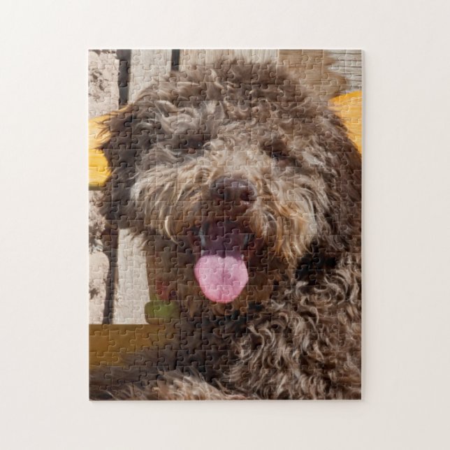 Lagotto Romagnolo auf einer Holzbank Puzzle (Vertikal)