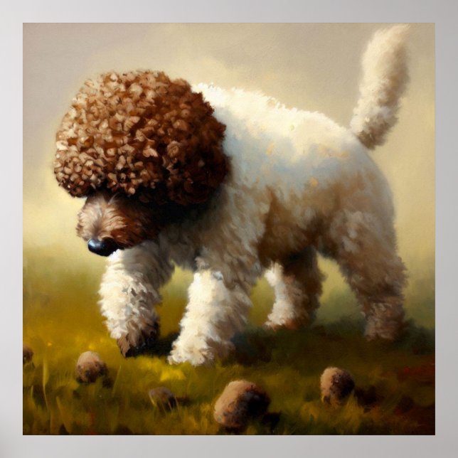 Lagotto Romagnolo Dog Poster (Vorne)