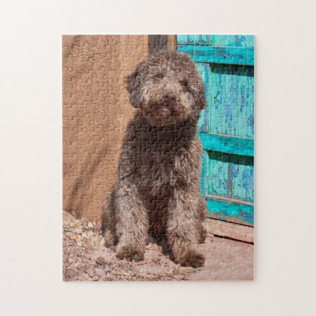 Lagotto Romagnolo durch eine blaue Tür Gewartet Puzzle (Vertikal)