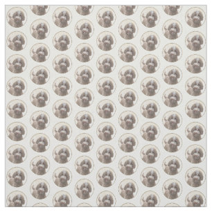 Lagotto Romagnolo Malerei - Niedliches Original Hu Stoff