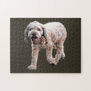 Lagotto Romagnolo Puzzle
