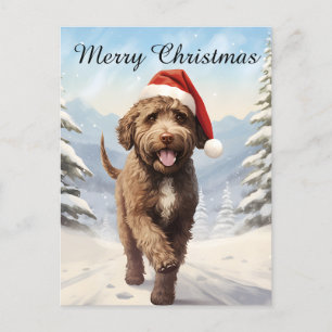 Lagotto Romagnolo Weihnachten
