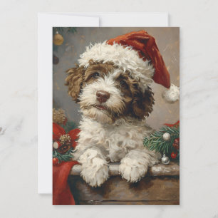 Lagotto Romagnolo Weihnachten