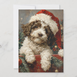 Lagotto Romagnolo Weihnachten