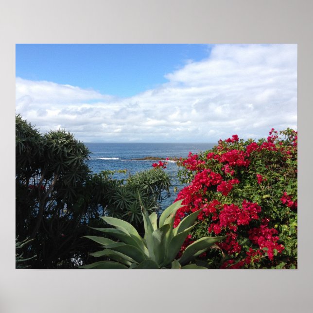 Laguna Beach Ocean View Poster (Vorne)