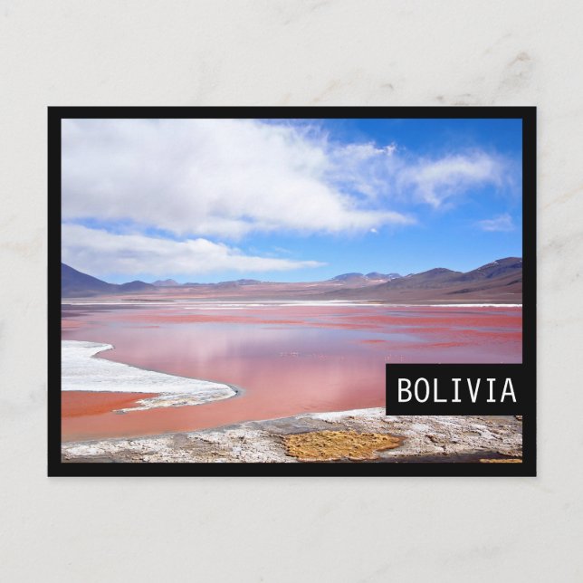 Laguna Colorada in Bolivien Postkarte mit schwarze (Vorderseite)