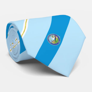 Laguna Niguel (Kalifornien) Stadtflagge Neck Tie Krawatte
