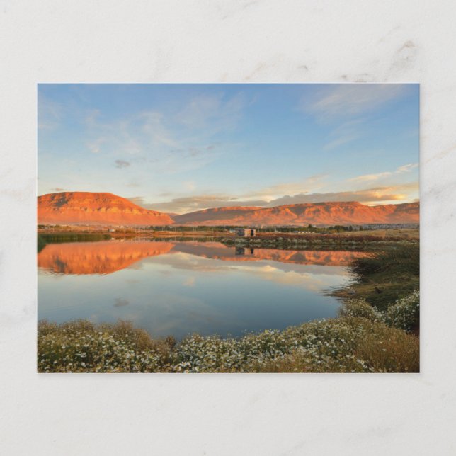 Laguna Nimez Sunset, El Calafate Postkarte (Vorderseite)