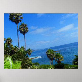 Laguna Palm Trees und Ocean Bliss Poster