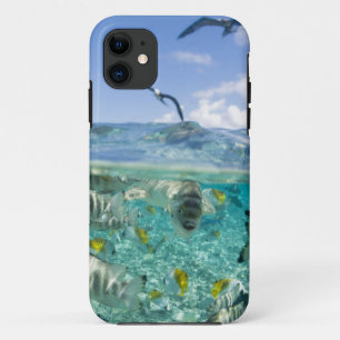 Lagunensafari-Tour mit Stachelrochen Case-Mate iPhone Hülle