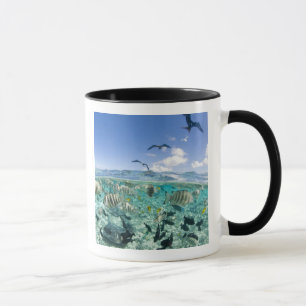 Lagunensafari-Tour mit Stachelrochen Tasse