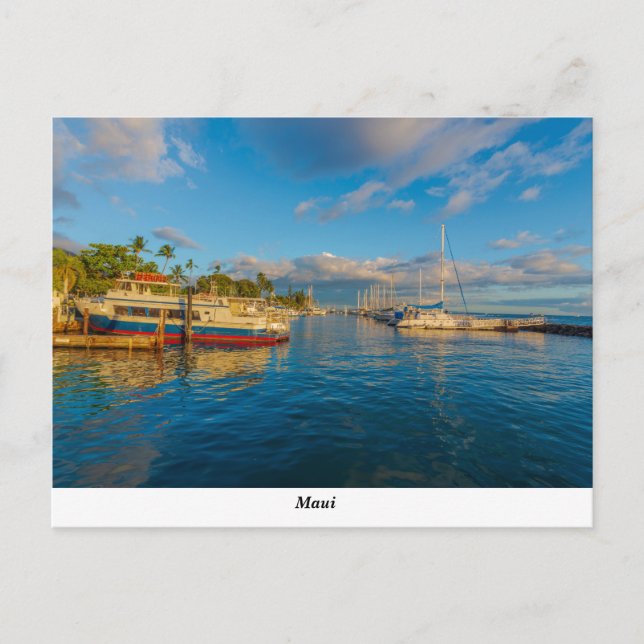 Lahaina Harbor Postcard Postkarte (Vorderseite)