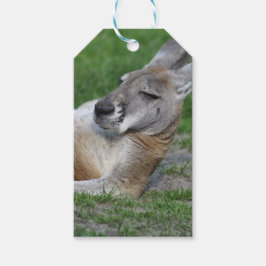Laid-back Kangaroo Geschenkanhänger