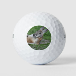Laid-back Kangaroo Golfball