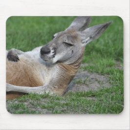 Laid-back Kangaroo Mousepad