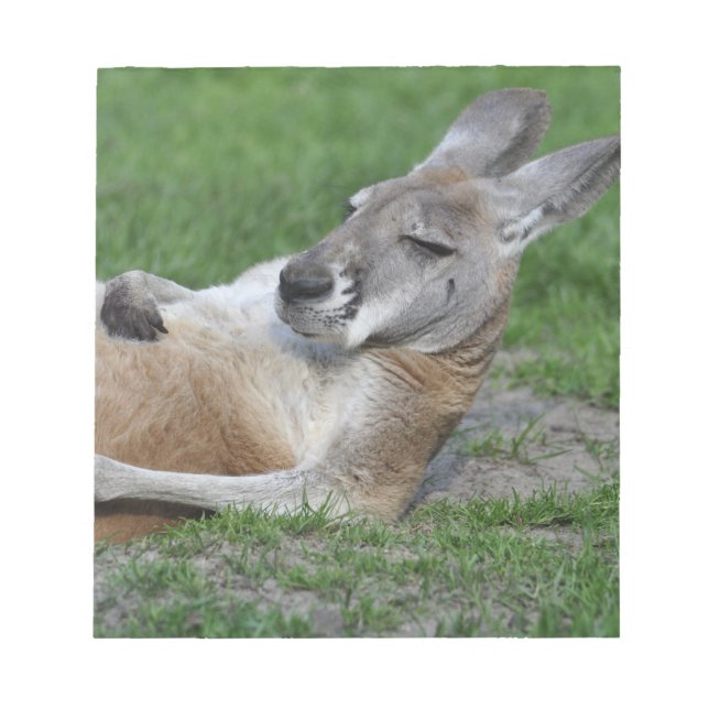 Laid-back Kangaroo Notizblock (Vorderseite)