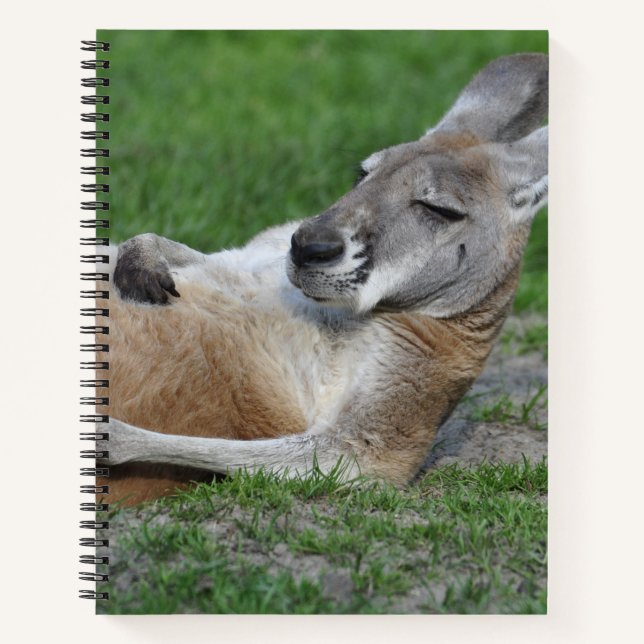 Laid-back Kangaroo Notizbuch (Vorderseite)