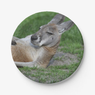 Laid-back Kangaroo Pappteller