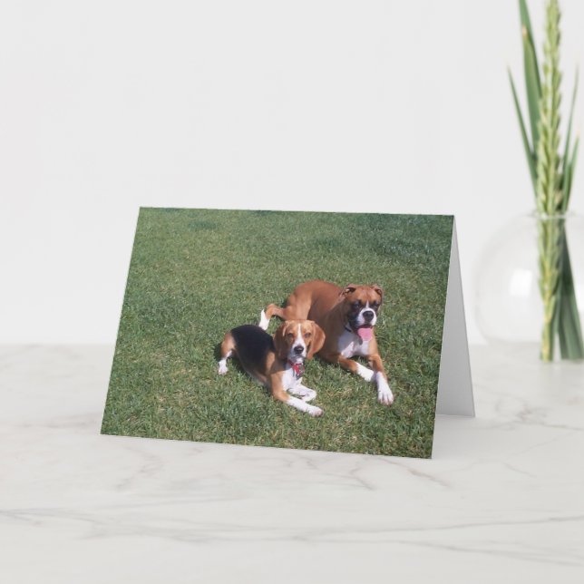 Laid Back Karte (Vorderseite)