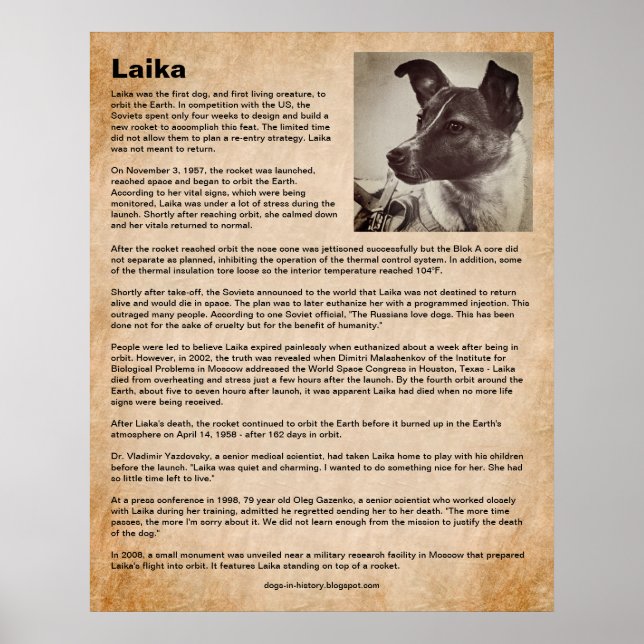 Laika, der erste Hund im Weltraum Poster (Vorne)