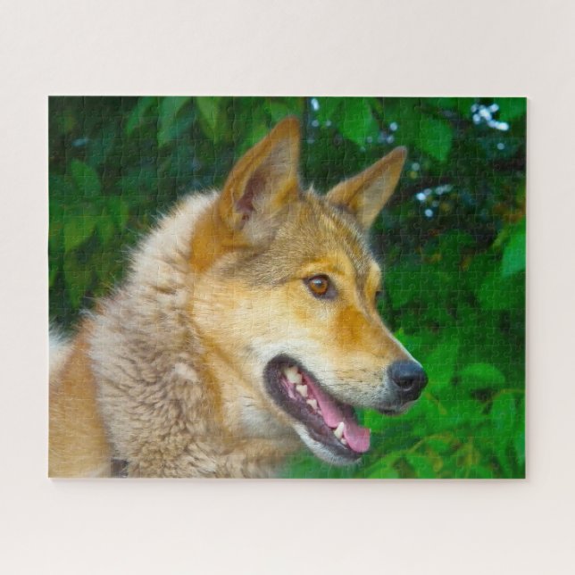 Laika Dog Jigsaws. Puzzle (Horizontal)