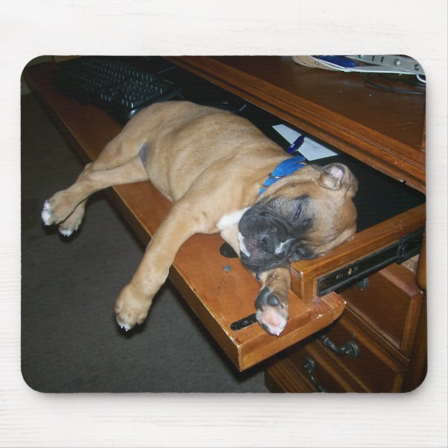 Laila, die auf Computerschreibtisch mousepad (Vorne)