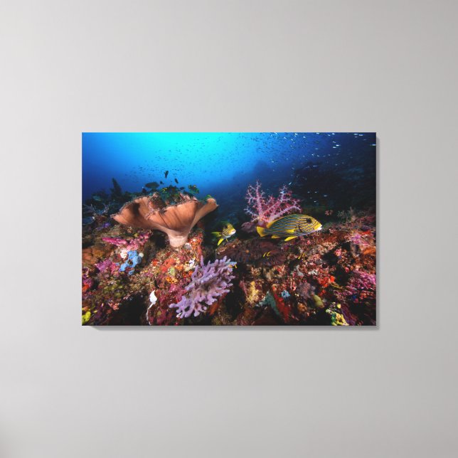 Laja Ampat Underwater Leinwanddruck (Vorderseite)