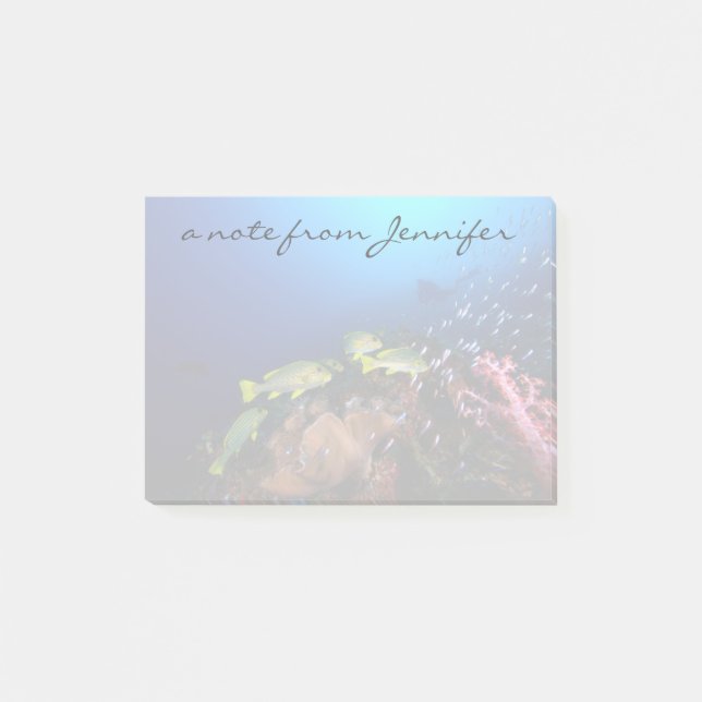 Laja Ampat Unterwasser3 Post-it Klebezettel (Vorderseite)