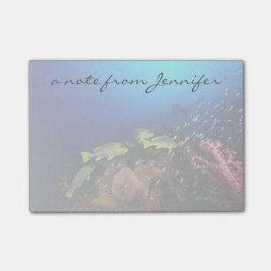 Laja Ampat Unterwasser3 Post-it Klebezettel