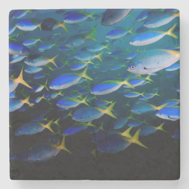 Laja Ampat Unterwasser5 Steinuntersetzer (Vorderseite)