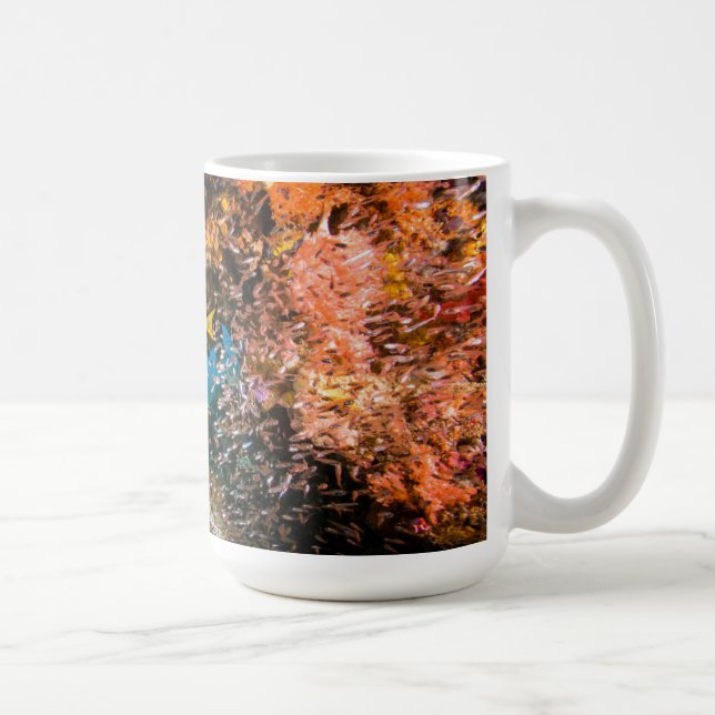 Laja Ampat Unterwasser6 Tasse (Rechts)