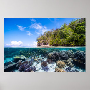 Laja Ampat Unterwasser 2 Poster