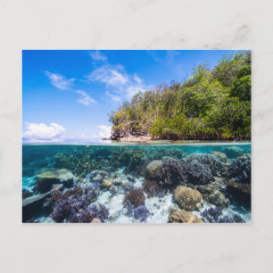 Laja Ampat Unterwasser 2 Postkarte