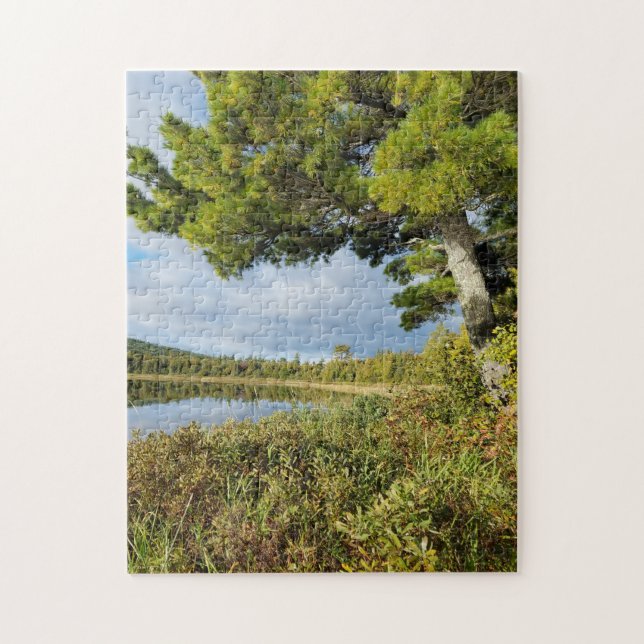 Lake Bailey Keweenaw Peninsula Michigan Puzzle (Vertikal)